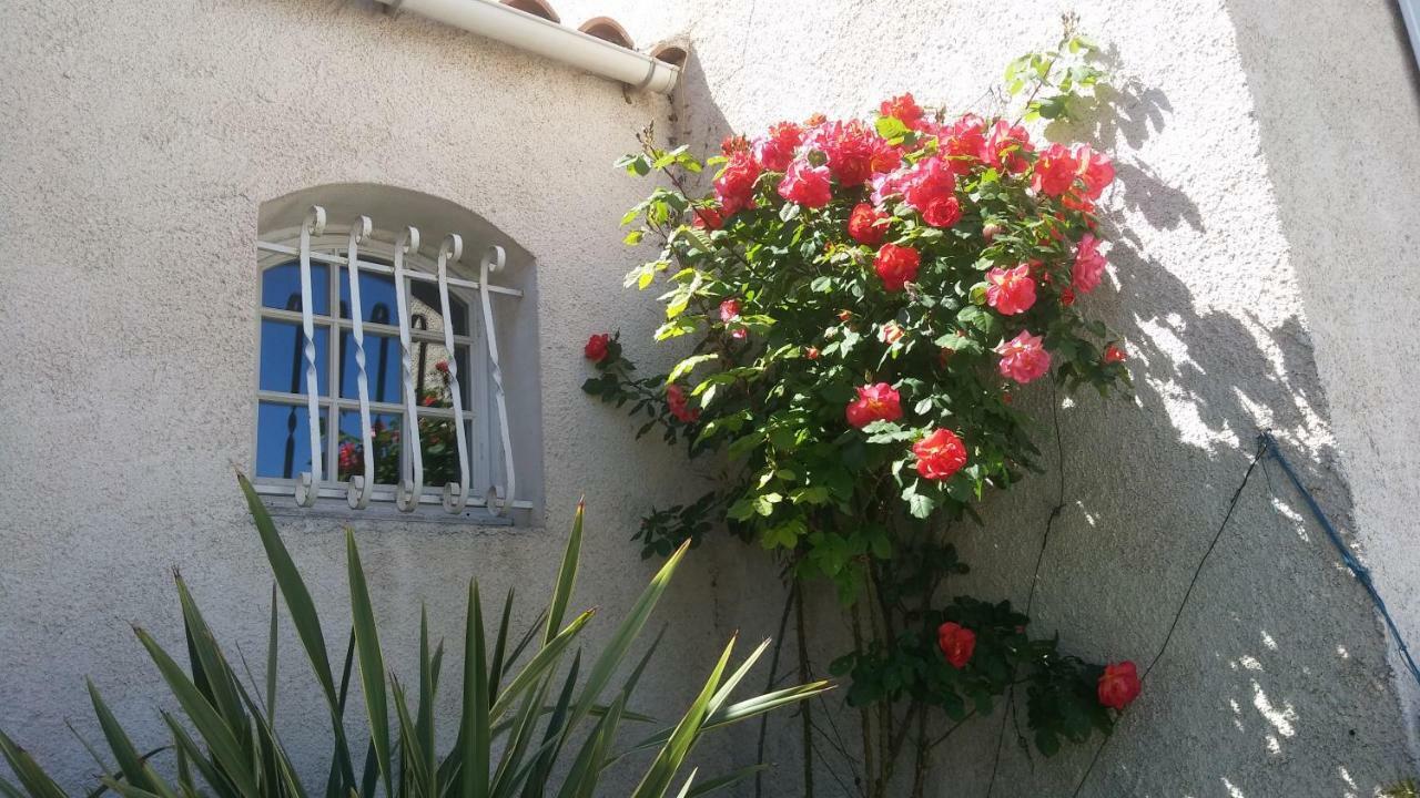 Villa Le Clos Fleuri Narbona Esterno foto