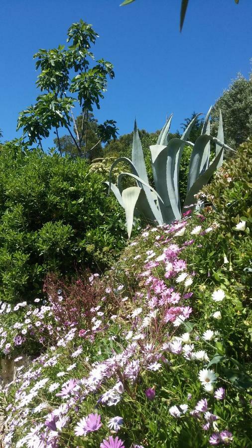Villa Le Clos Fleuri Narbona Esterno foto