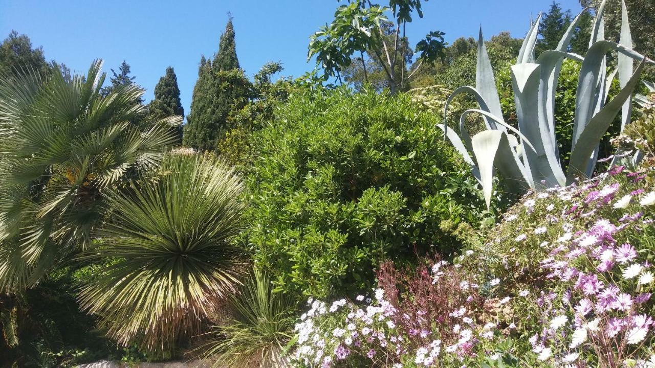 Villa Le Clos Fleuri Narbona Esterno foto