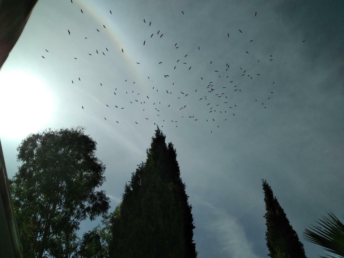 Villa Le Clos Fleuri Narbona Esterno foto